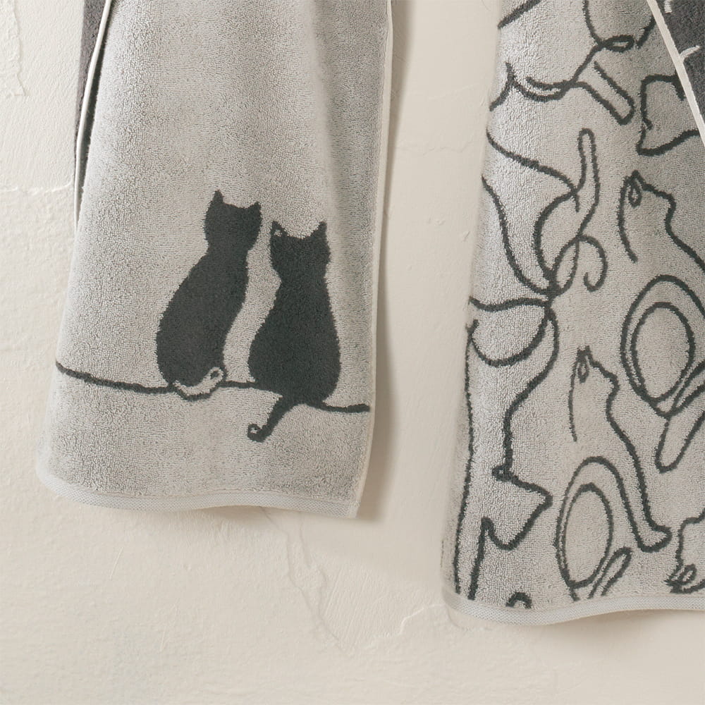 Cute Cats