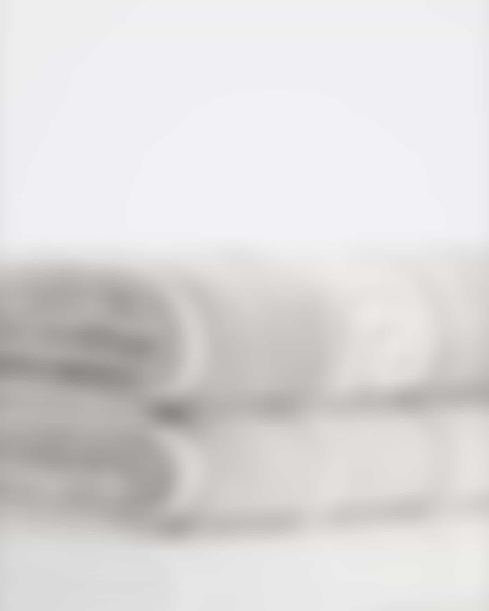 Cawö Handtücher Noblesse Duo 1003 - Farbe: platin - 76 Seiflappen 30x30 cm