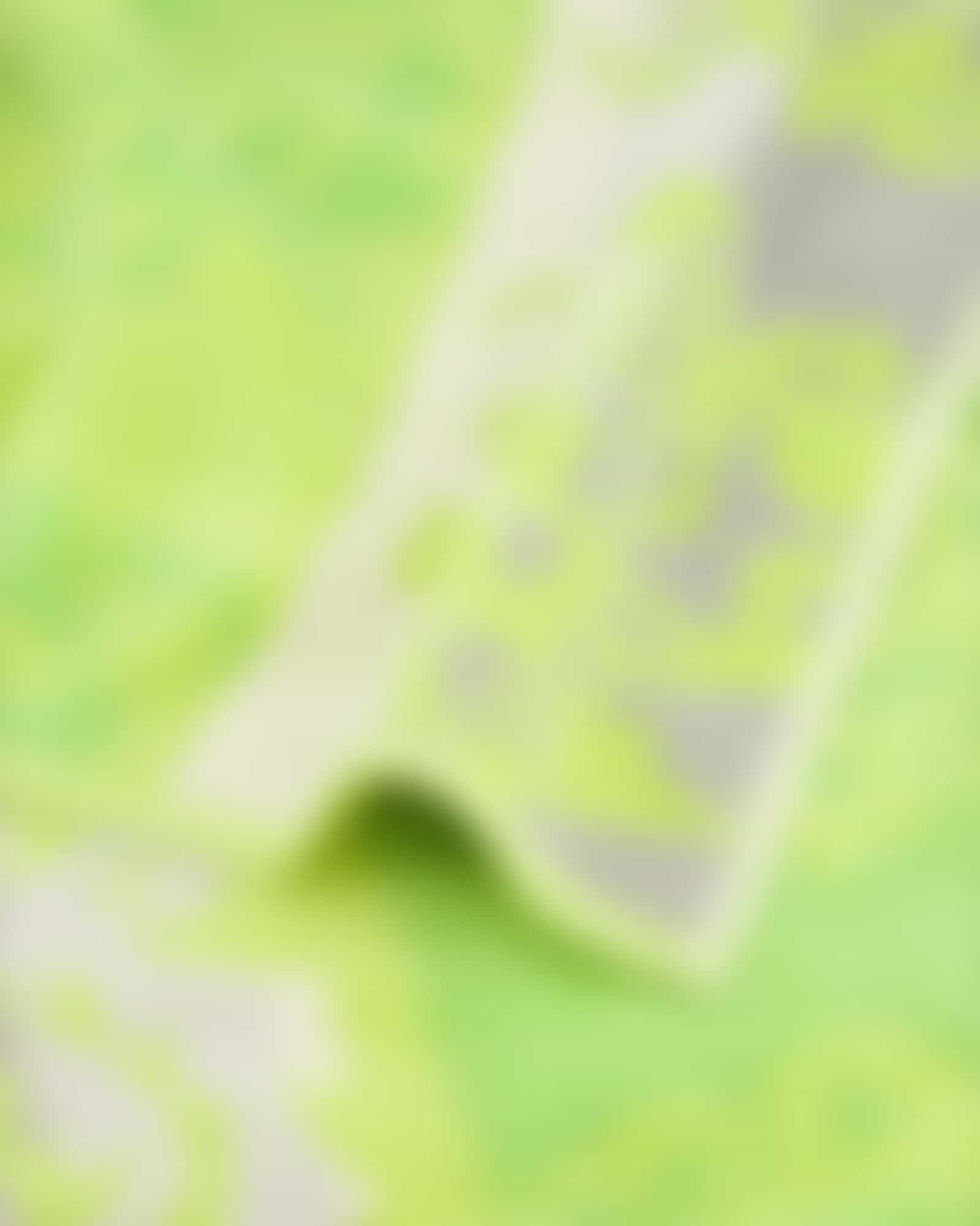 Cawö - Noblesse Cashmere Jacquard 1057 - Farbe: kiwi - 45 Duschtuch 80x150 cm