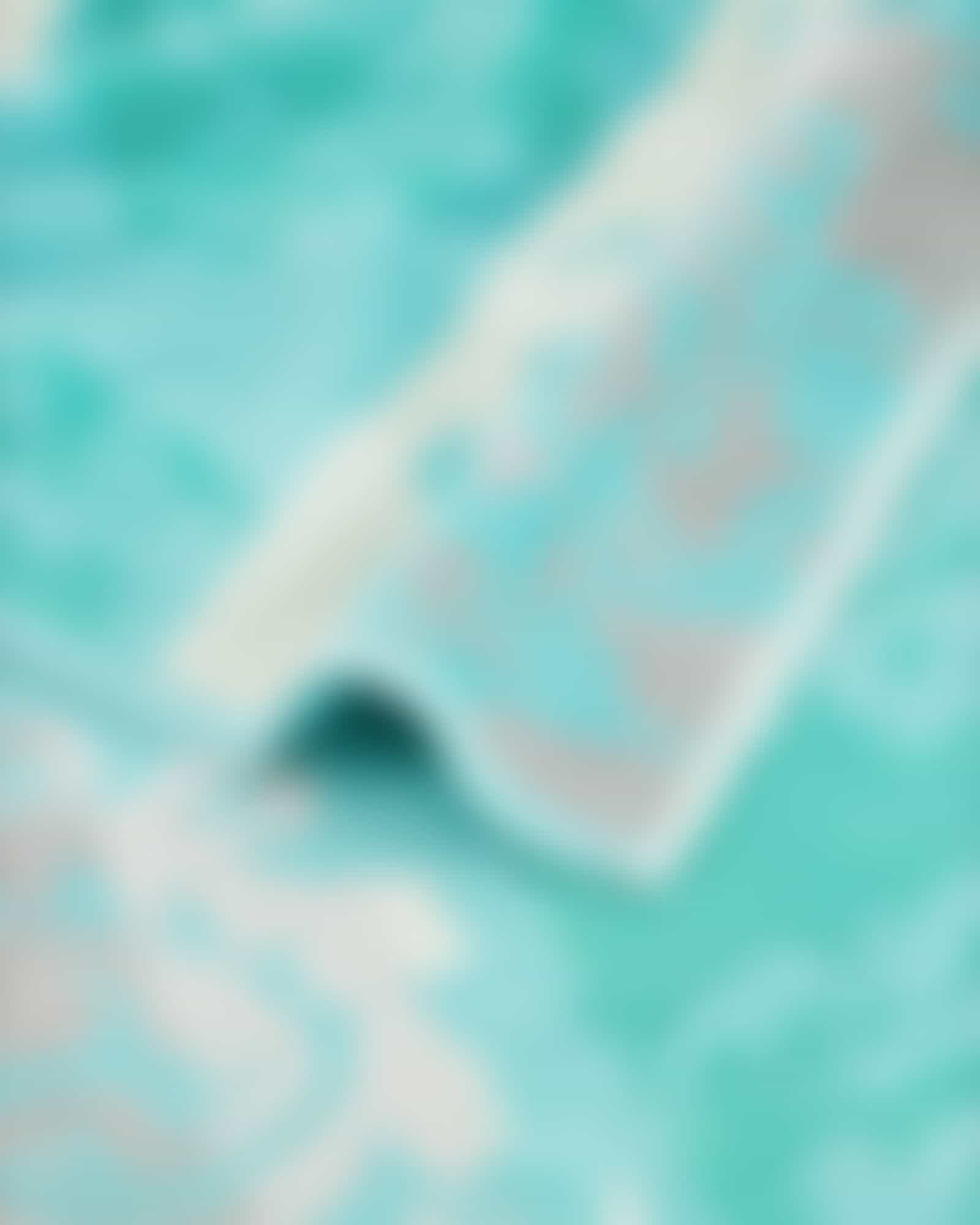 Cawö - Noblesse Cashmere Jacquard 1057 - Farbe: mint - 14 Handtuch 50x100 cm